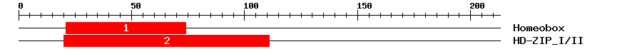 Signature Domain
