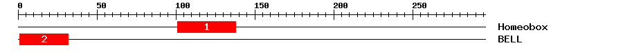 Signature Domain