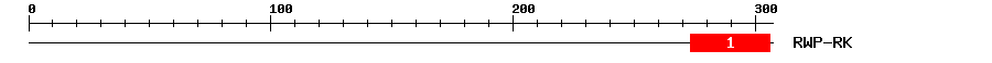 Signature Domain