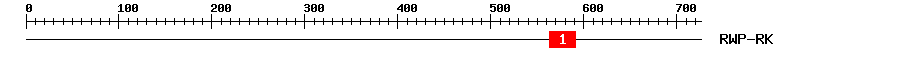 Signature Domain