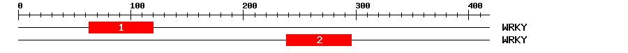 Signature Domain
