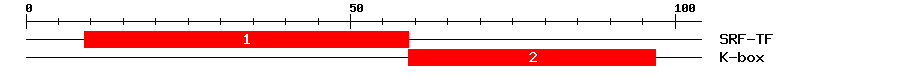 Signature Domain