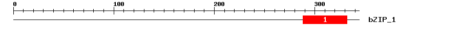 Signature Domain