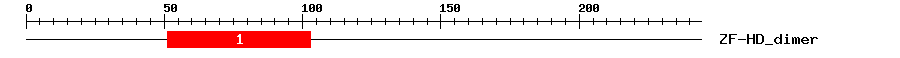 Signature Domain