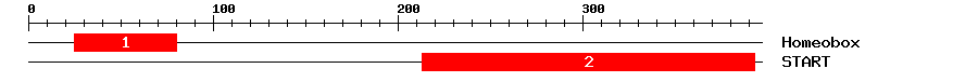 Signature Domain