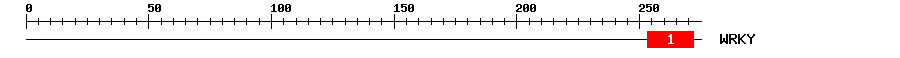 Signature Domain