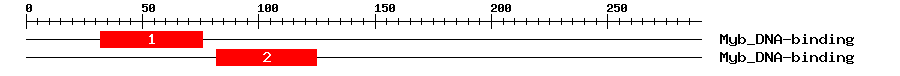 Signature Domain