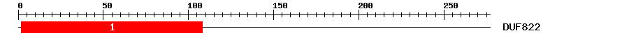 Signature Domain