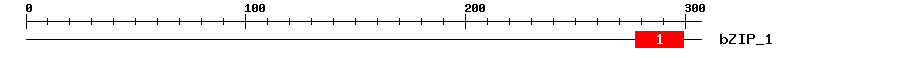 Signature Domain