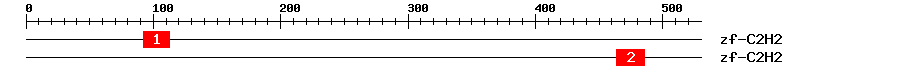 Signature Domain