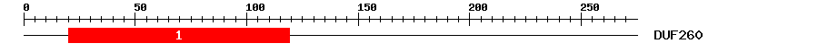 Signature Domain