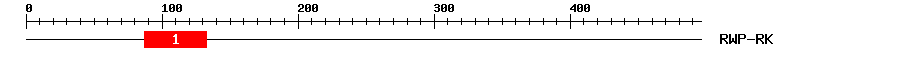 Signature Domain