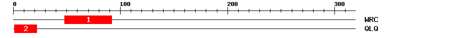 Signature Domain