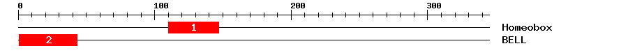 Signature Domain