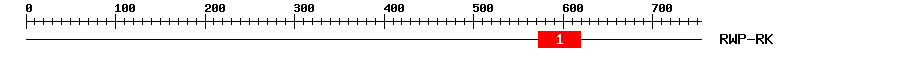 Signature Domain