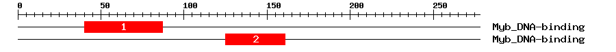 Signature Domain