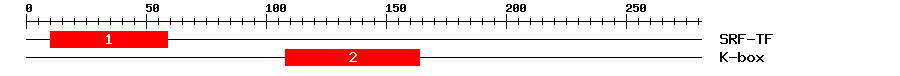 Signature Domain