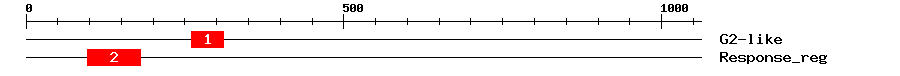 Signature Domain