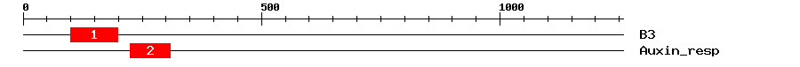 Signature Domain