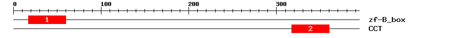 Signature Domain