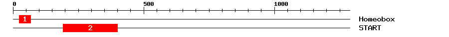 Signature Domain