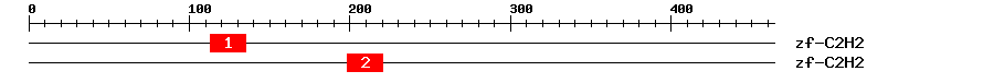 Signature Domain