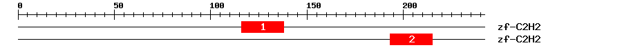 Signature Domain