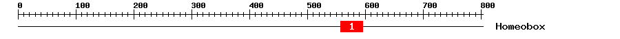 Signature Domain