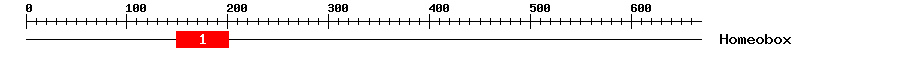Signature Domain