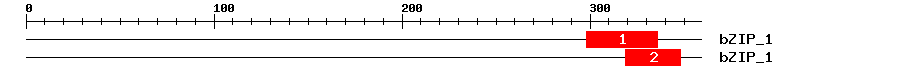 Signature Domain