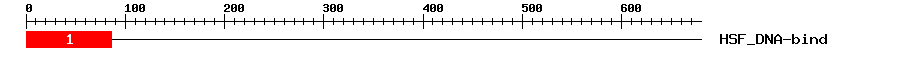 Signature Domain