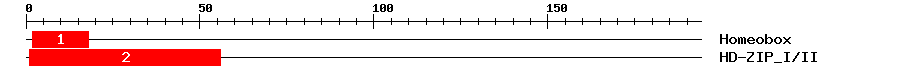 Signature Domain