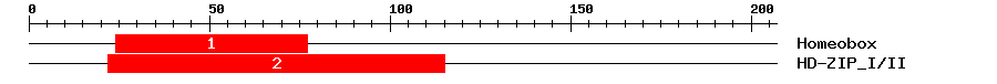 Signature Domain