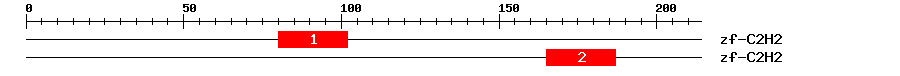 Signature Domain
