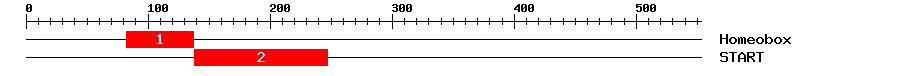 Signature Domain