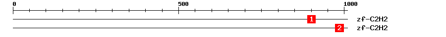 Signature Domain