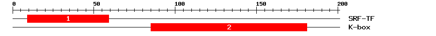 Signature Domain