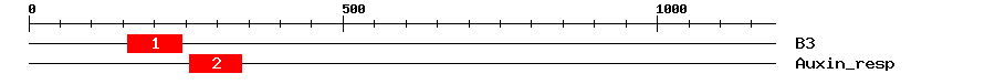Signature Domain