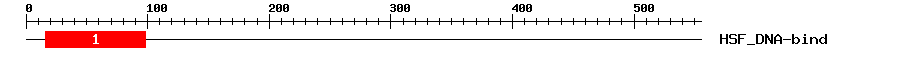 Signature Domain