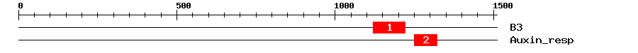 Signature Domain