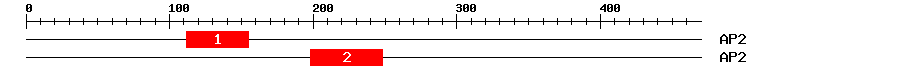 Signature Domain