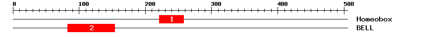 Signature Domain