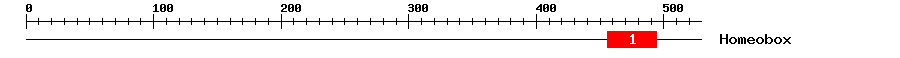 Signature Domain