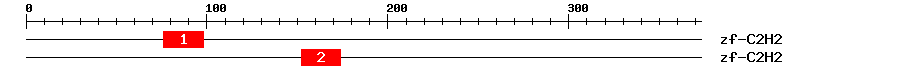Signature Domain