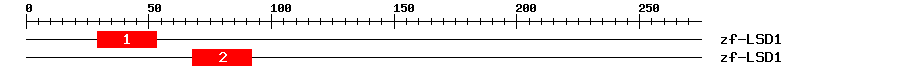 Signature Domain