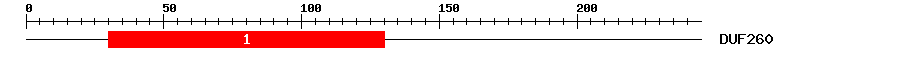 Signature Domain