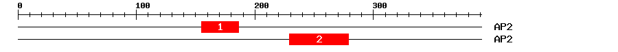 Signature Domain