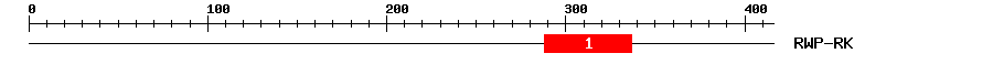 Signature Domain