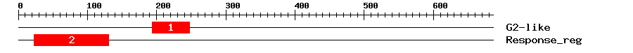 Signature Domain