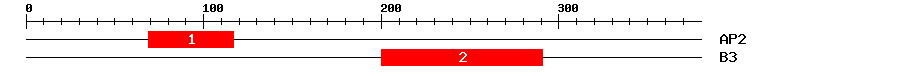 Signature Domain